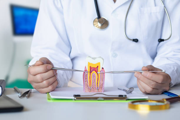 Best Emergency Treatment for Oral Infections in University Park, TX